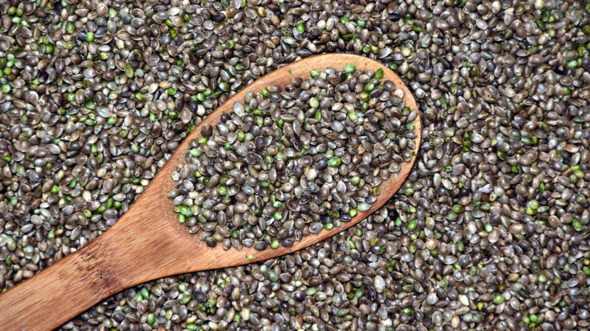 The Benefits of Hemp Seed Oil