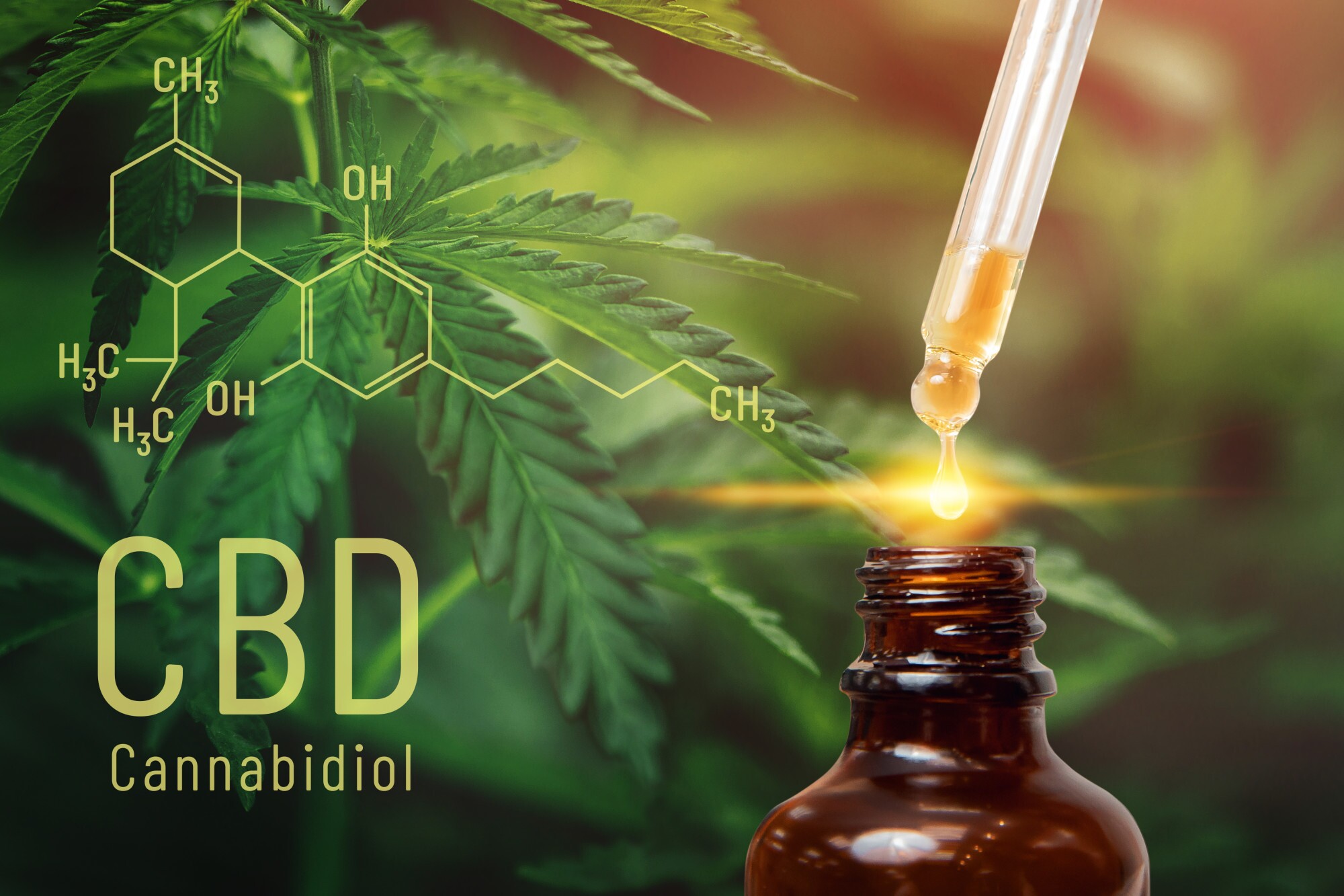 cbd