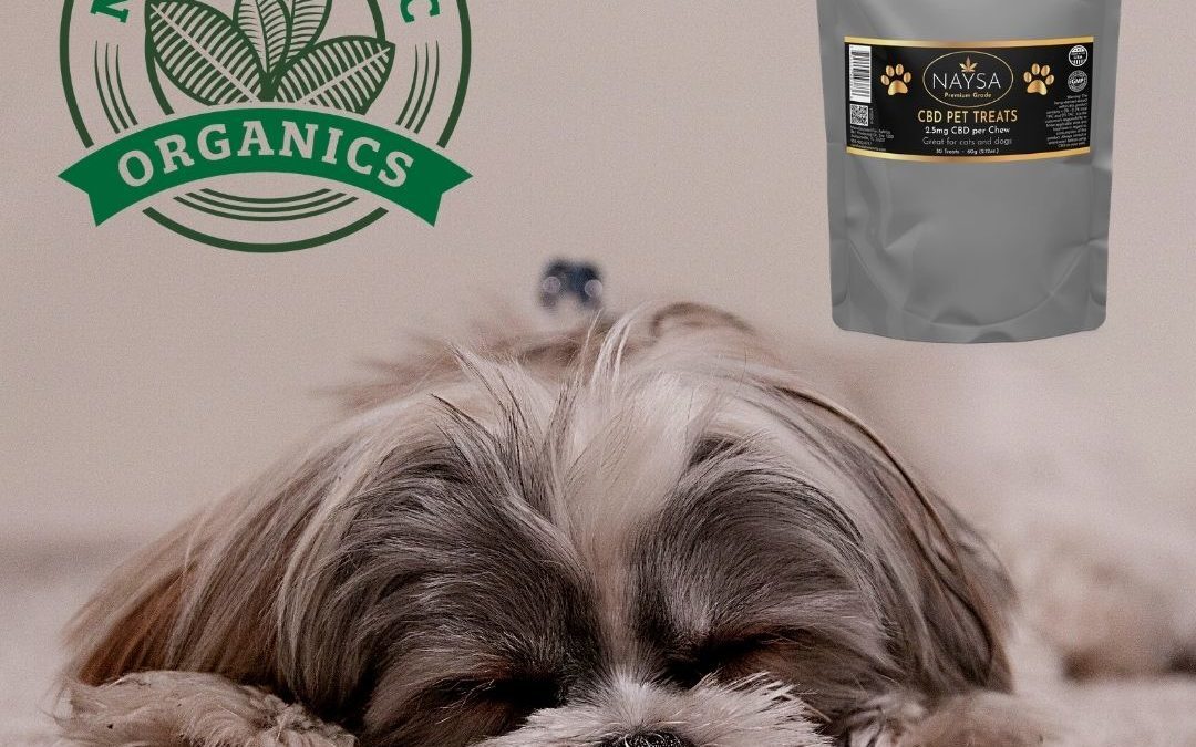 pet allergies, pet skin issues