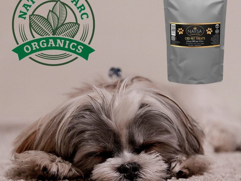pet allergies, pet skin issues