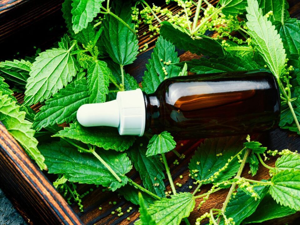 CBD oil vs cbd gummies